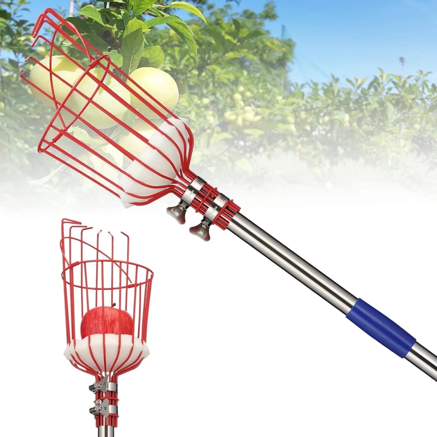 👩‍🌾 Vegetable Gardening Made Easier cover photo collage