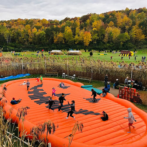 Four Seasons of Boredom Busters: Things to Do With Kids In & Around Madison, WI! cover photo collage