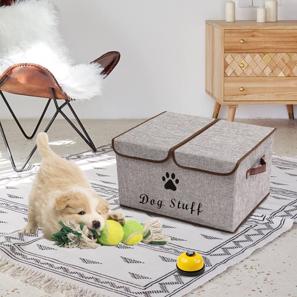 Apartment living with dogs - items you need to optimize an apartment for your furry friend 🐕 cover photo collage