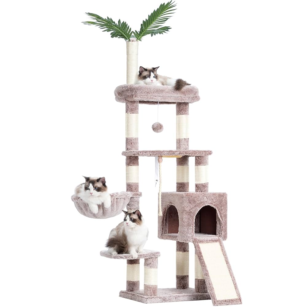 Purrrfect for kitties 🐾 cover photo collage