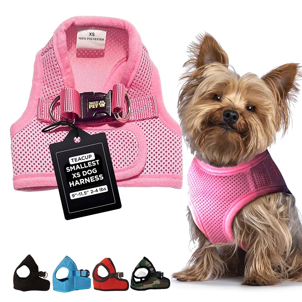 🛍️ Paw-fect Picks for Petite Pups: 13 Budget-Friendly Finds Under $30  
 #small-dogs #frugal-pets #dog-accessories # benable cover photo collage