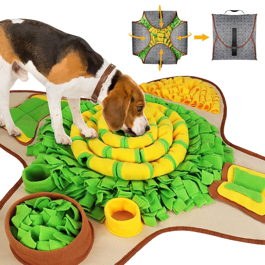 brain games for your dog! cover photo collage