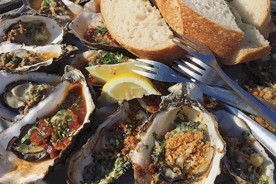 Must Go Day Trip or Weekend Ideas from San Francisco cover photo collage