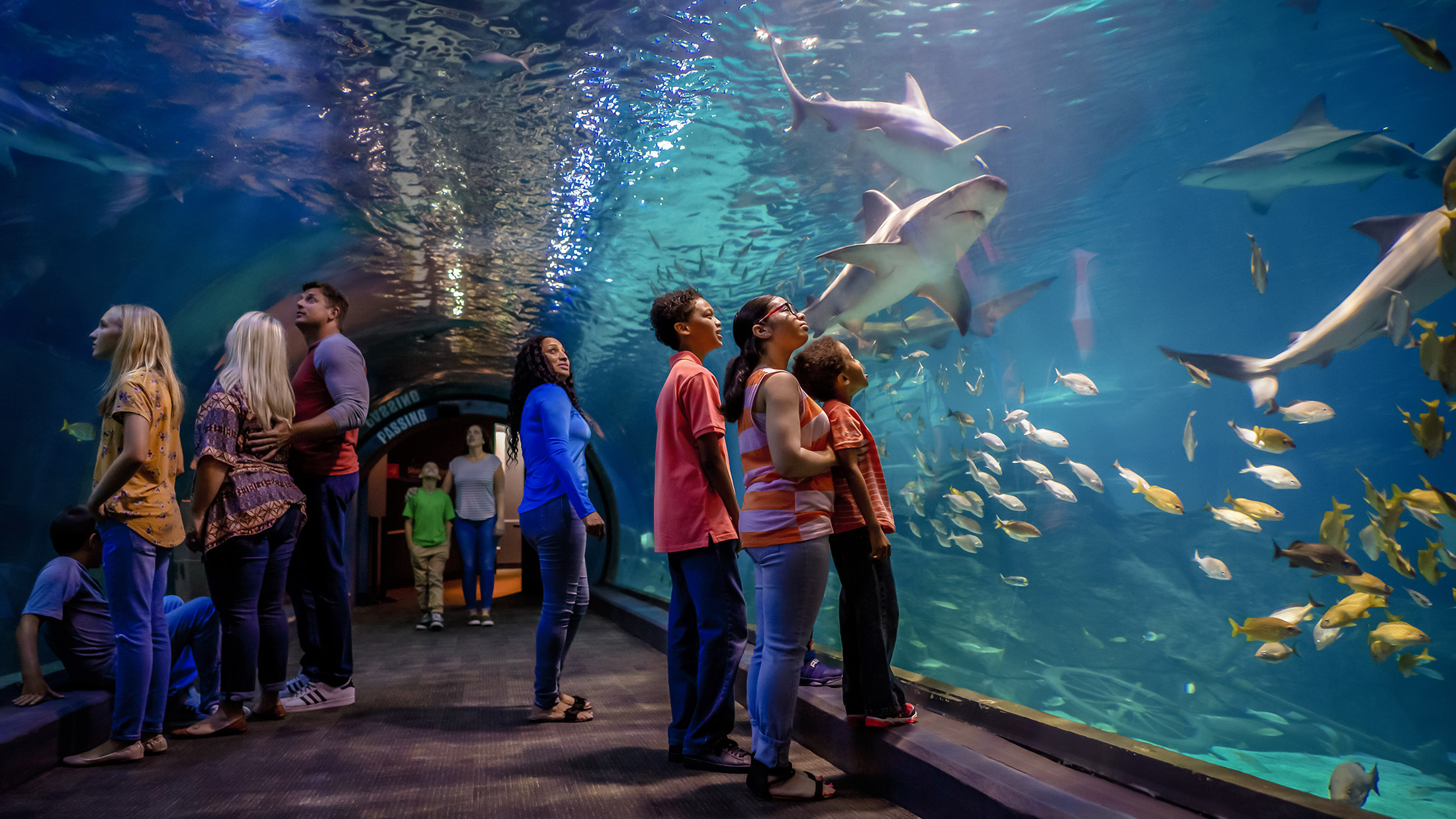 The Essential Kid-Friendly Philly List cover photo collage