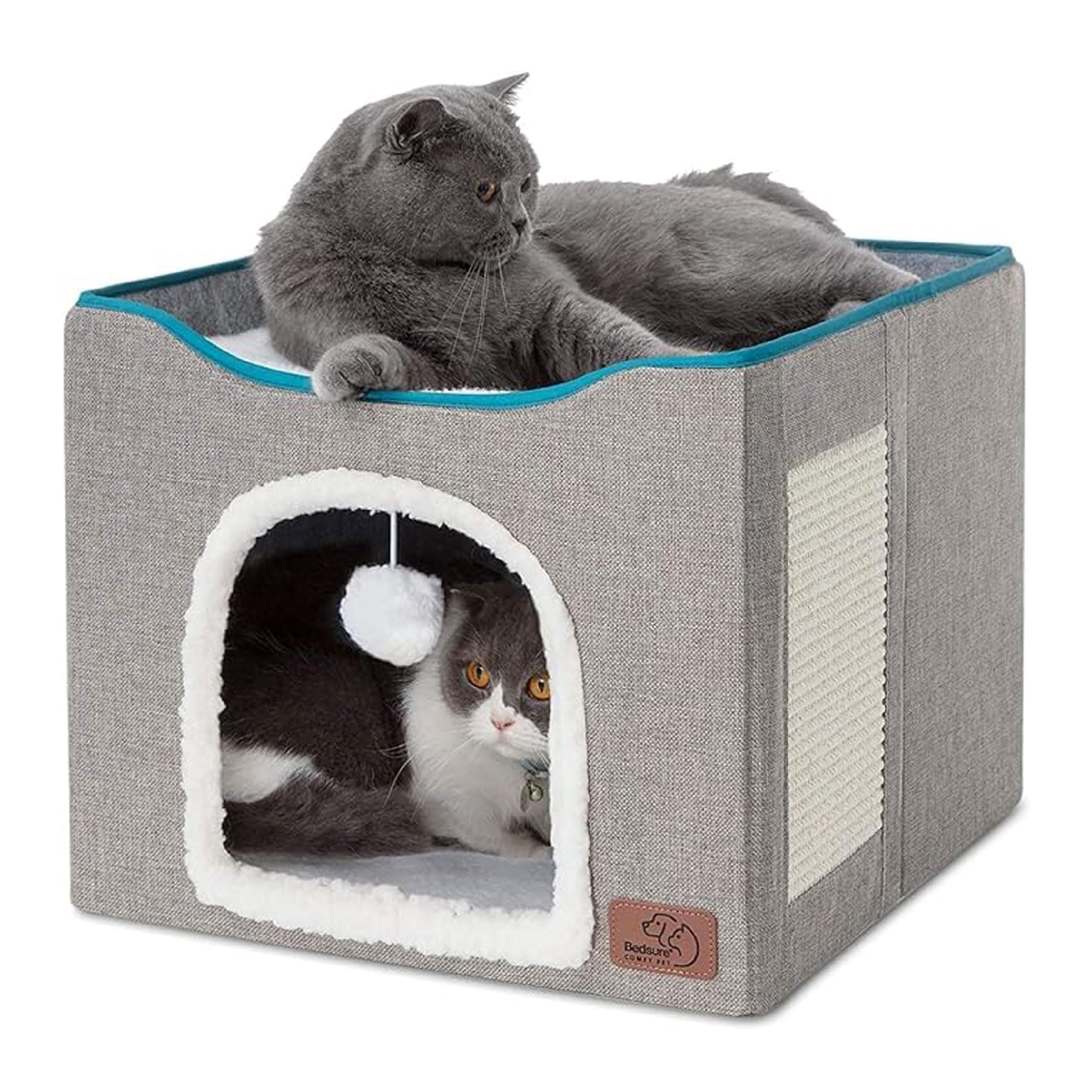 🐈‍⬛ My Cat's Favorite Treats, Toys & Essentials cover photo collage