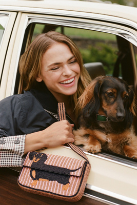 Anthropologie Dog Collection Must-Haves cover photo collage