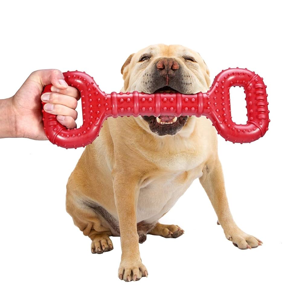 English Bulldog Necessities🐶🐾 cover photo collage