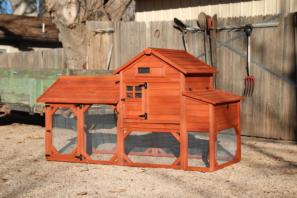 Everything to make your new hens feel at home as a new chicken Mom! cover photo collage