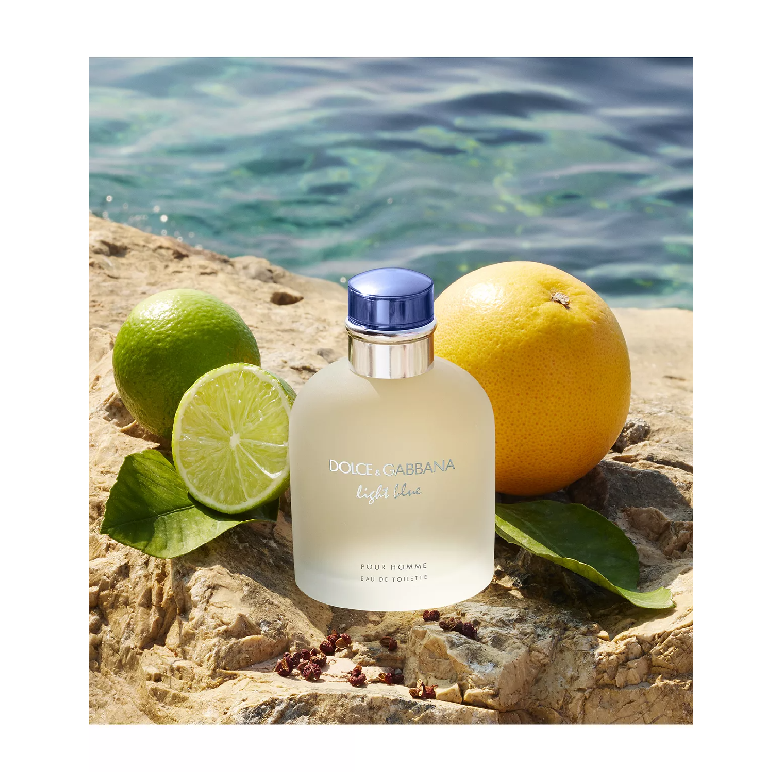 Summer Colognes ☀️🌊 cover photo collage