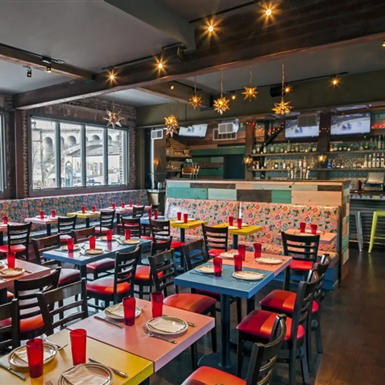 my manayunk recs cover photo collage