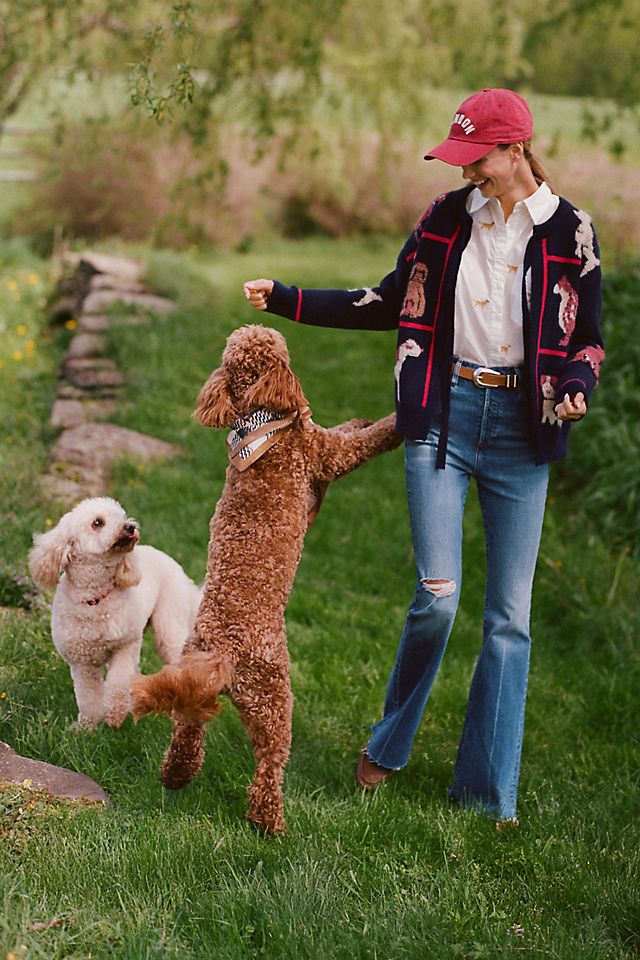 My Recommendations for Fall 2025 Wardrobe Must Haves for Mid-Size/Mid-Life Girlies cover photo collage