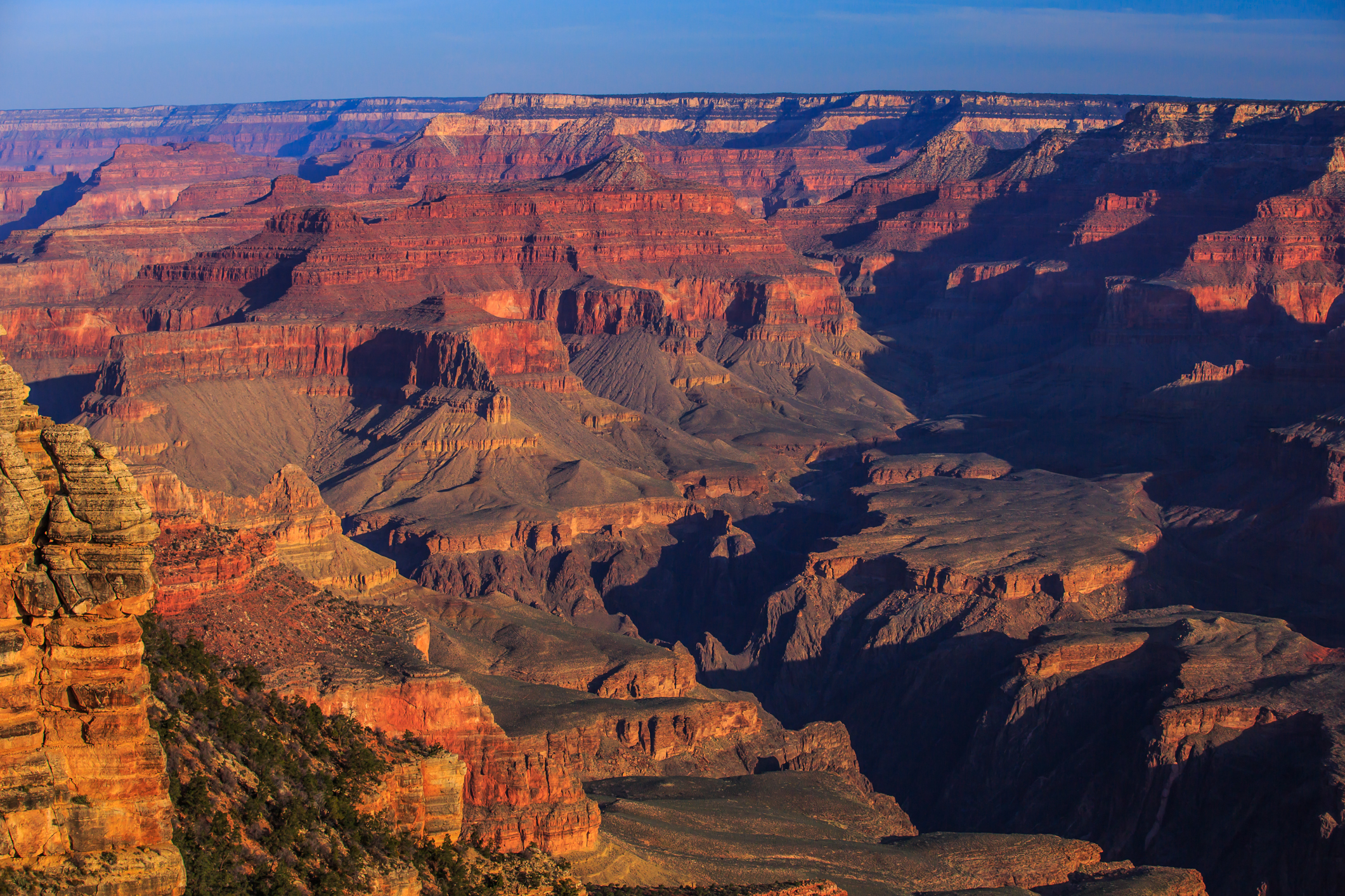 National Parks that I Would Revisit 🌋🌲🌵🦌 cover photo collage