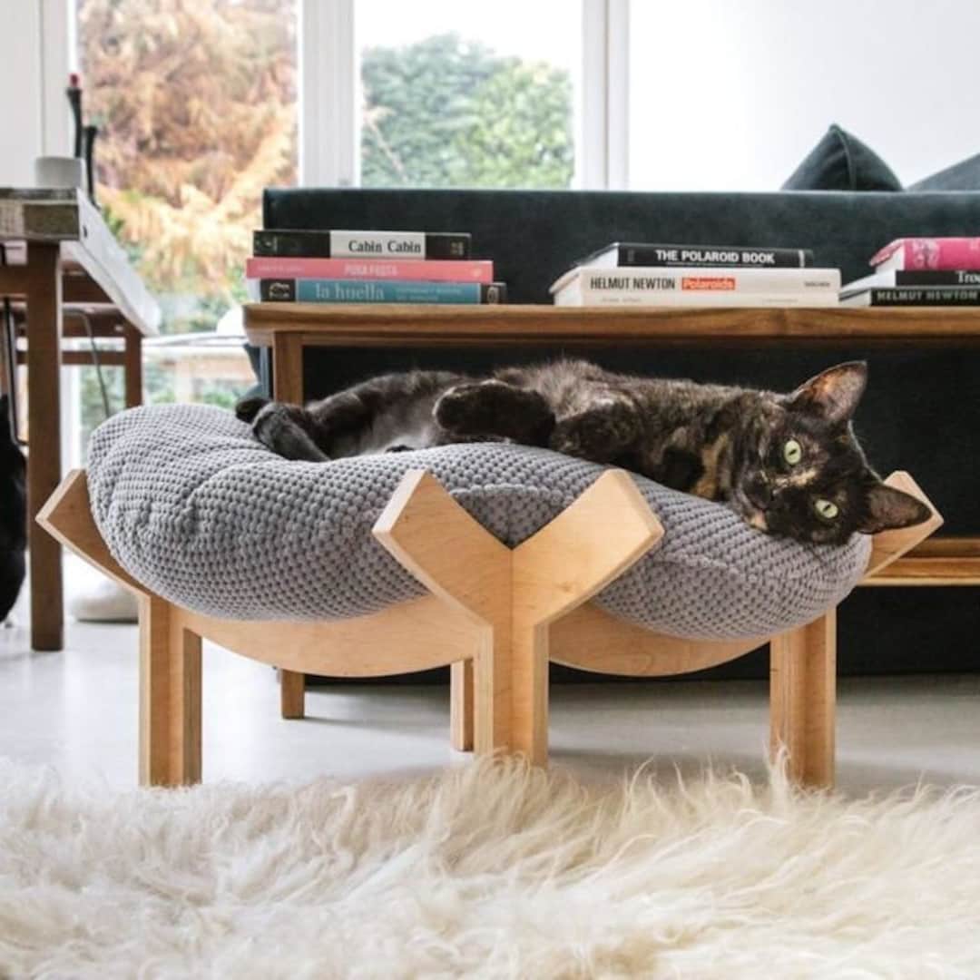 The best gifts for a cat parent cover photo collage