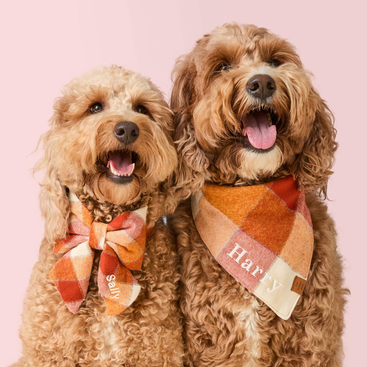 Pet favs cover photo collage