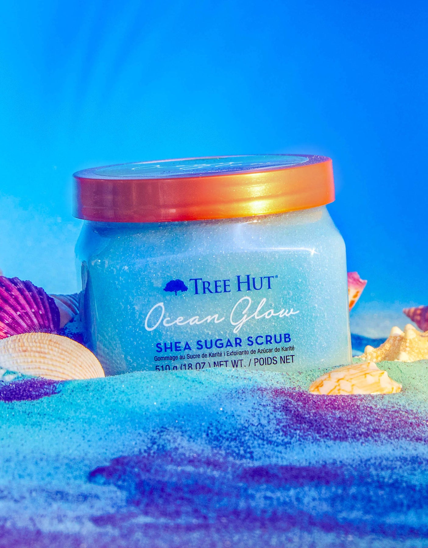 Body Care All Stars ⭐️ cover photo collage