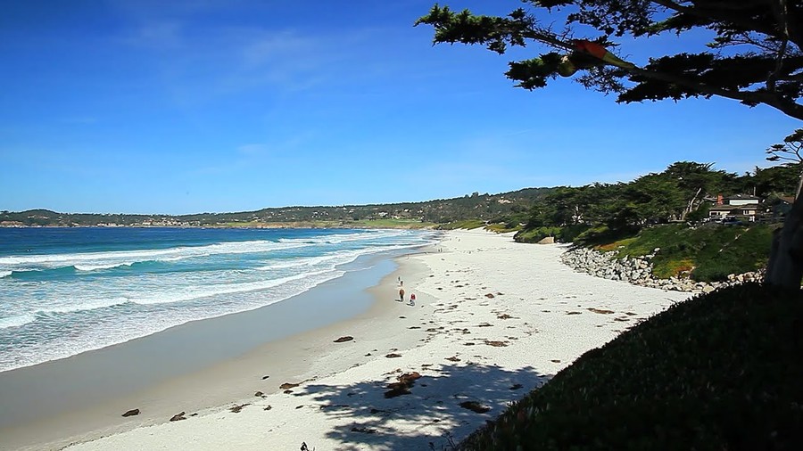Much Love, Monterey cover photo collage