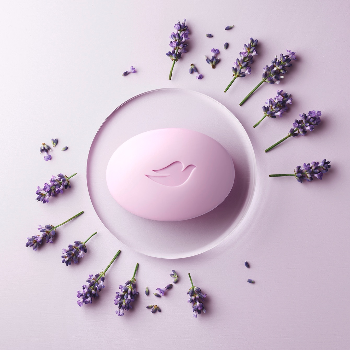 Body care for soft and supple skin cover photo collage