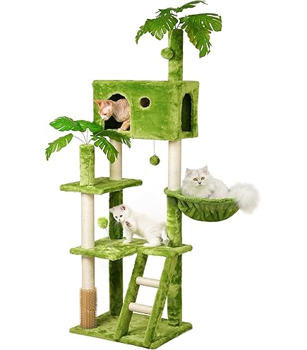 For Kittens/Cats cover photo collage