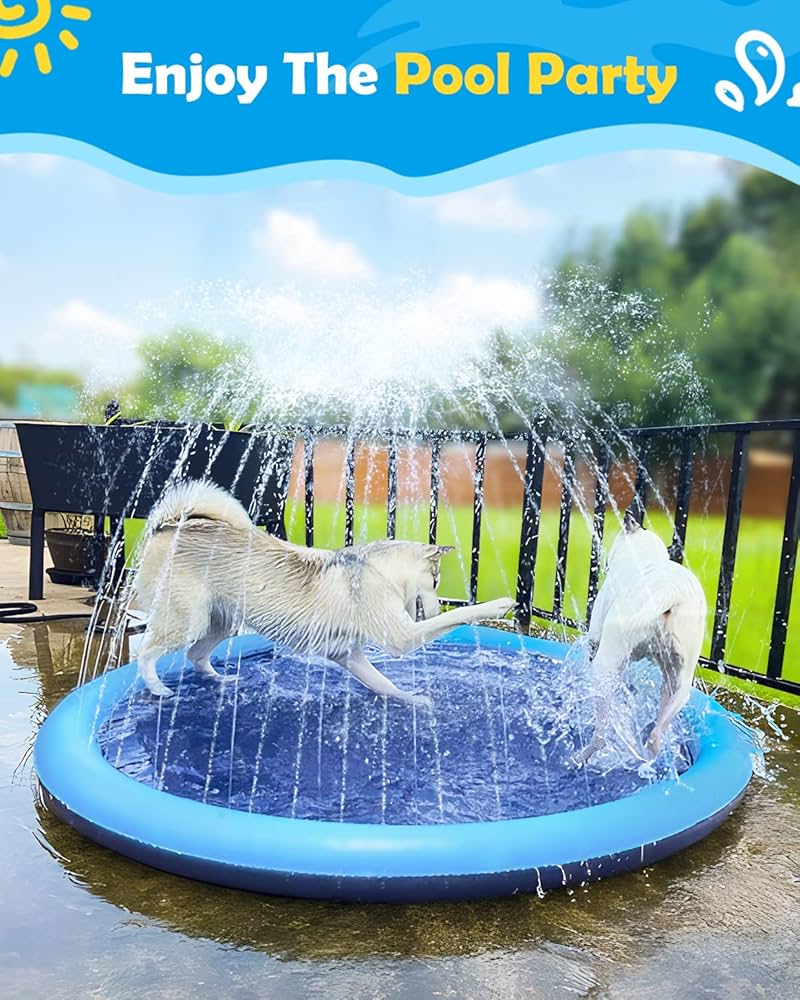 My crazy dog loves these things. cover photo collage