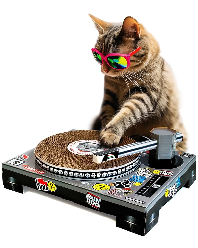 Fun and Innovative Cat Products Every Pet Owner Needs to Try cover photo collage