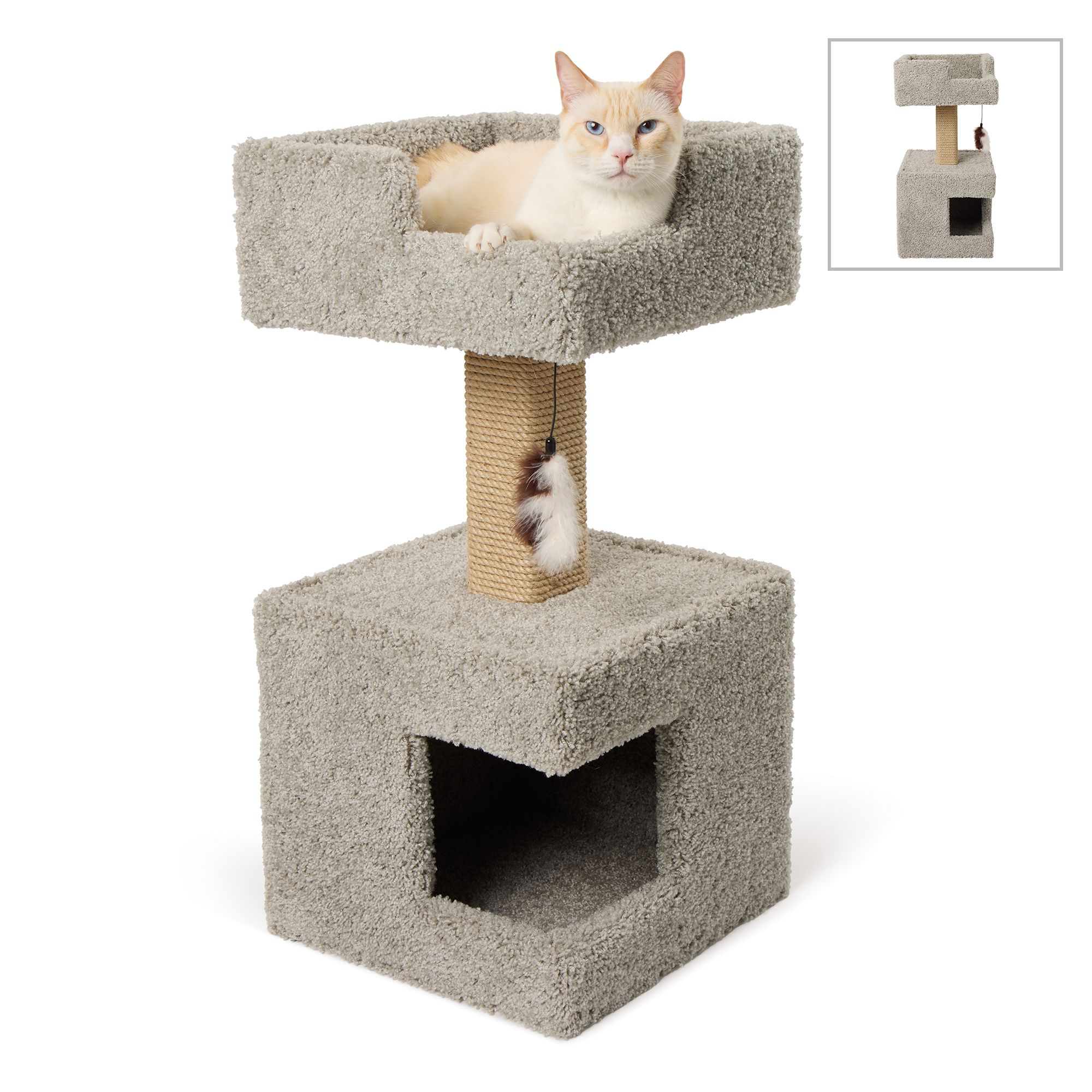 Jewel's favorite Cat things cover photo collage
