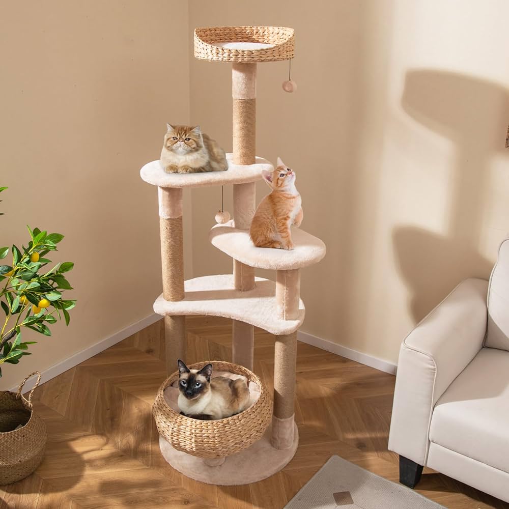 From Kibble to Catnip: My Cat’s Must-Haves cover photo collage
