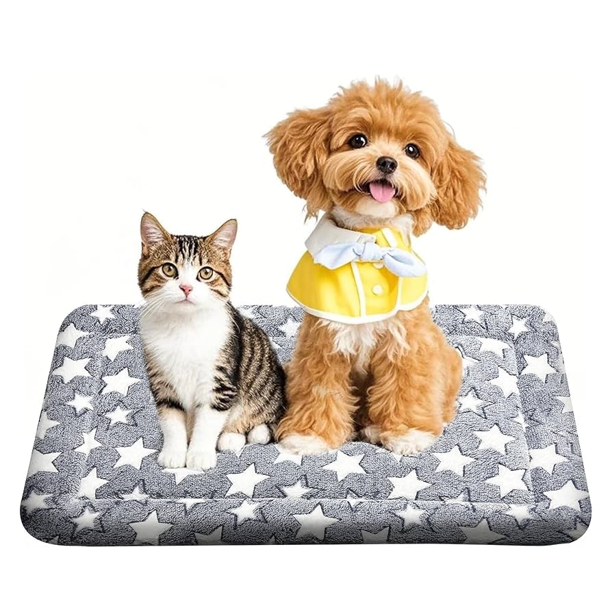 All-time puppy essentials cover photo collage