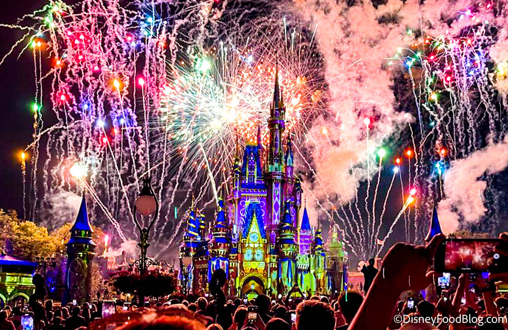 Walt Disney World - Orlando, FL cover photo collage