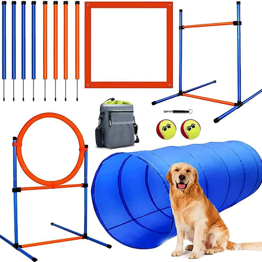 helicopter dog mom must haves cover photo collage