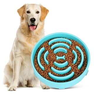 Everything to make life easier for your pet cover photo collage