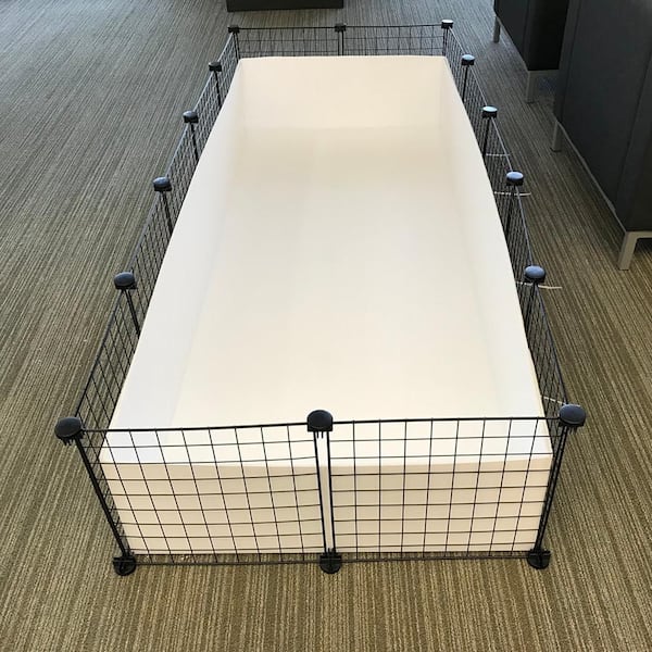 Guinea Pig's Essentials Guide cover photo collage