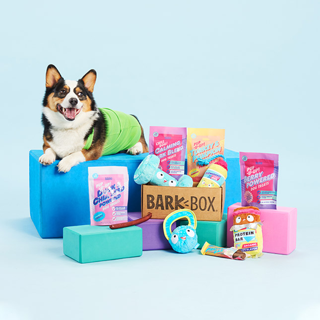Dog product must haves cover photo collage