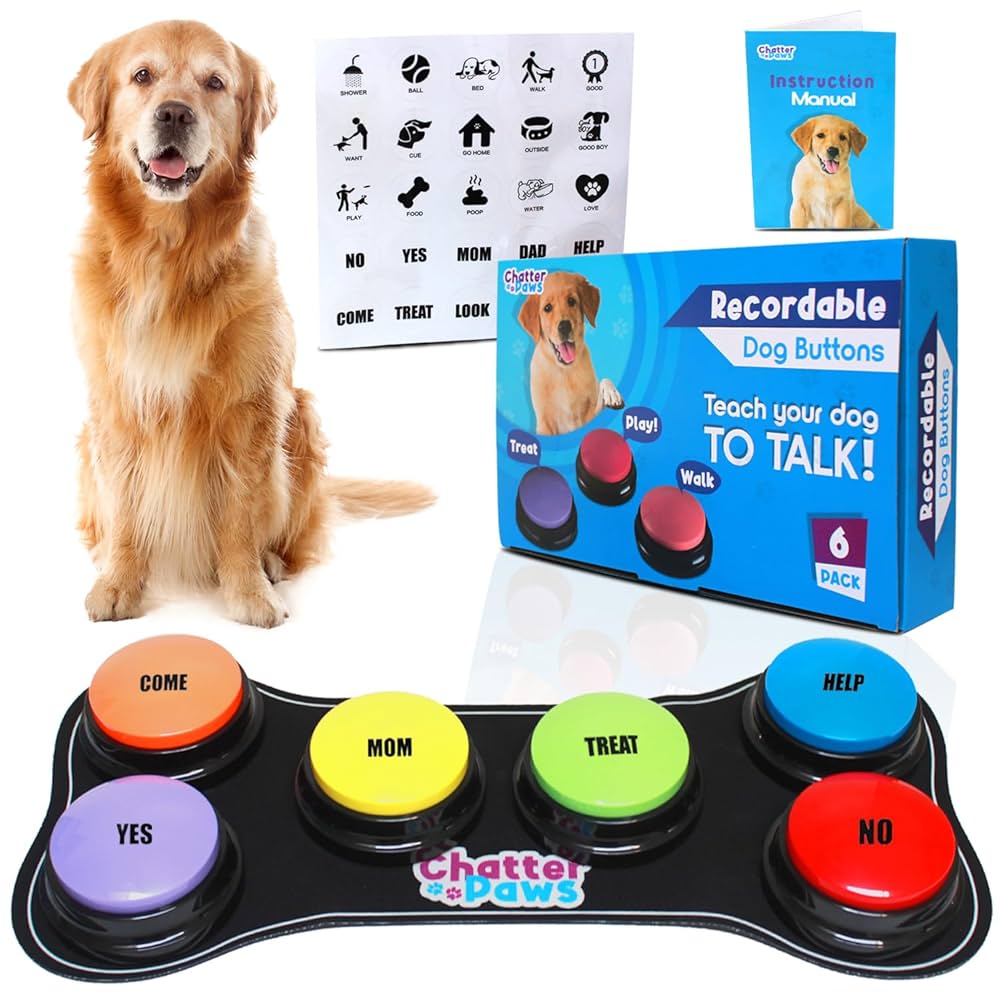 Fun Products For High Energy Dogs cover photo collage