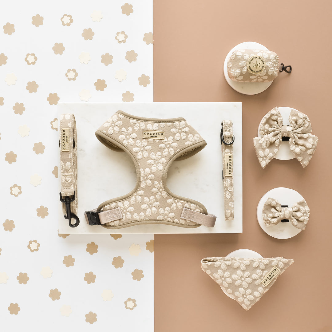 A Puppy’s Dream — pretty and practical doggie finds! cover photo collage