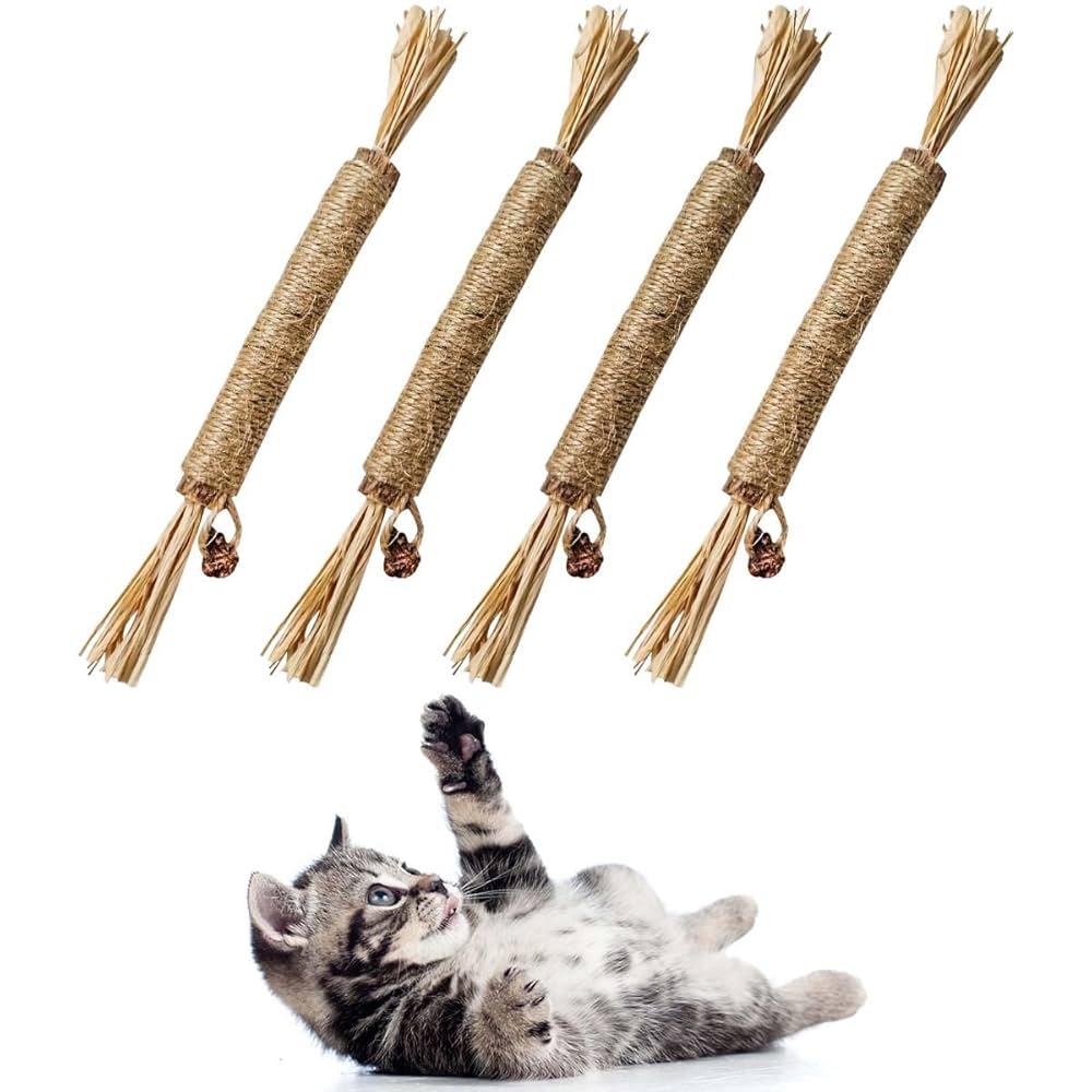Happy & healthy fur babies cover photo collage