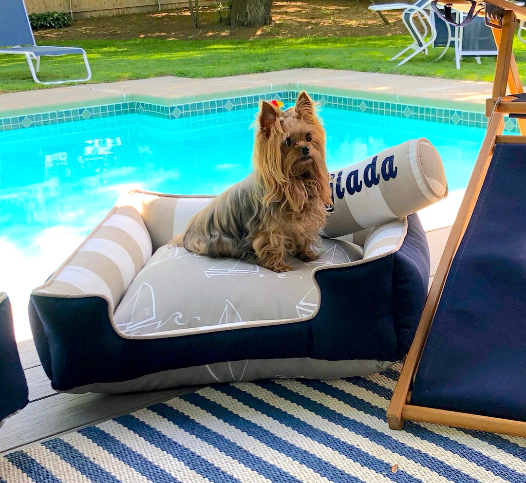 Boujee Finds for that Special Dog in Your Life; Summer Theme 🐾 🌺🖤 cover photo collage