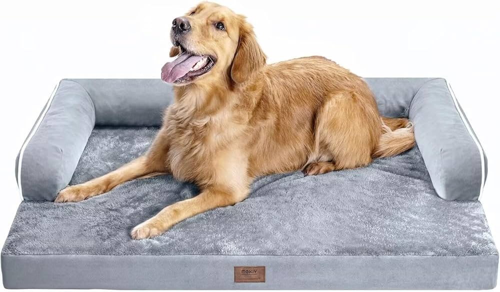 Tailbound's Top 10 Puppy Essentials cover photo collage