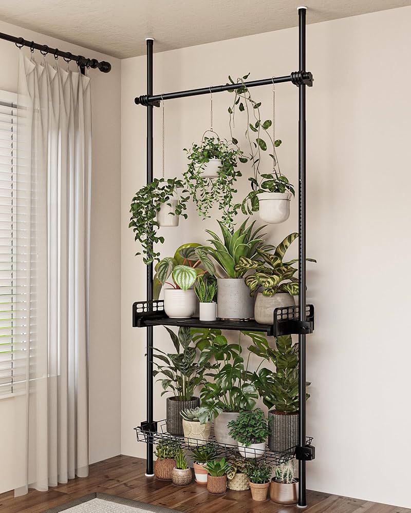 Houseplant Must Haves cover photo collage