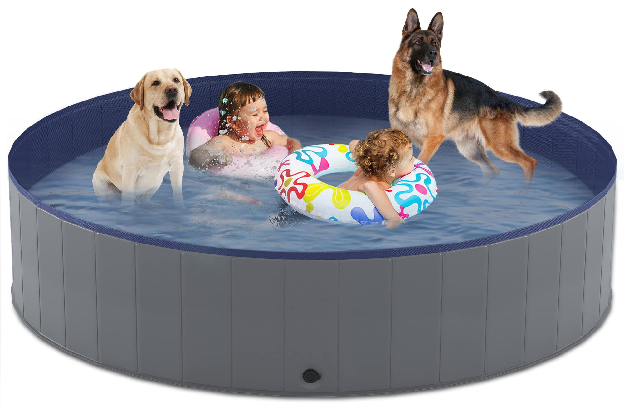 Essential Dog Supplies Every Pet Parent Needs 🐶🐾 cover photo collage