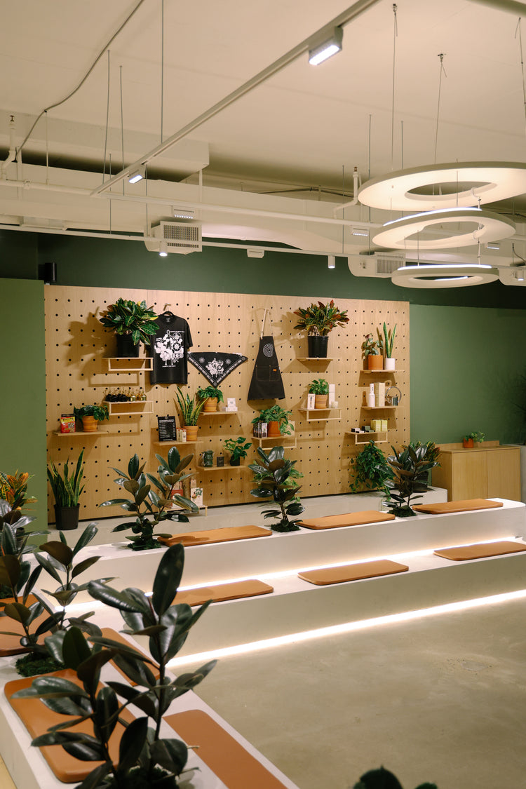 I am a Plant Mutha cover photo collage