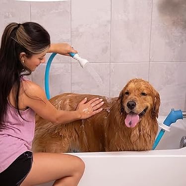 Pet Parent? Here Are A Few Things That Make Our Lives Easier cover photo collage