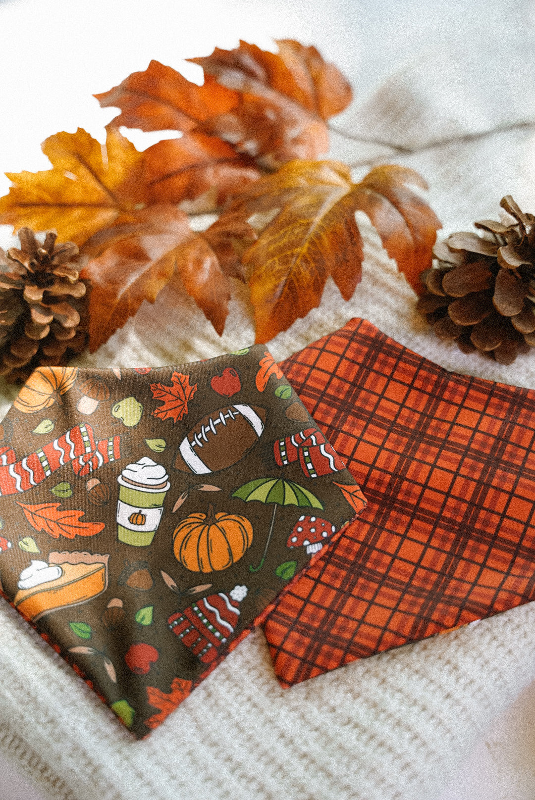 Dog Accessories & First Time Pup Favs ✨🐶 cover photo collage