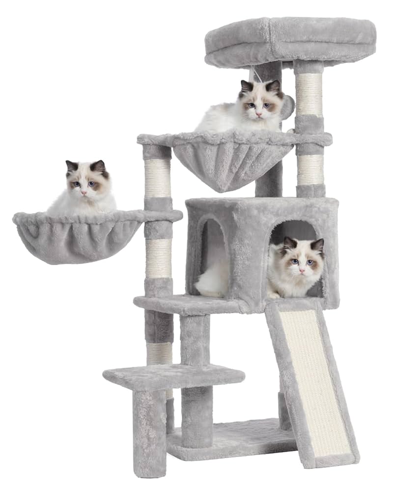 Things my cats LOVE! cover photo collage