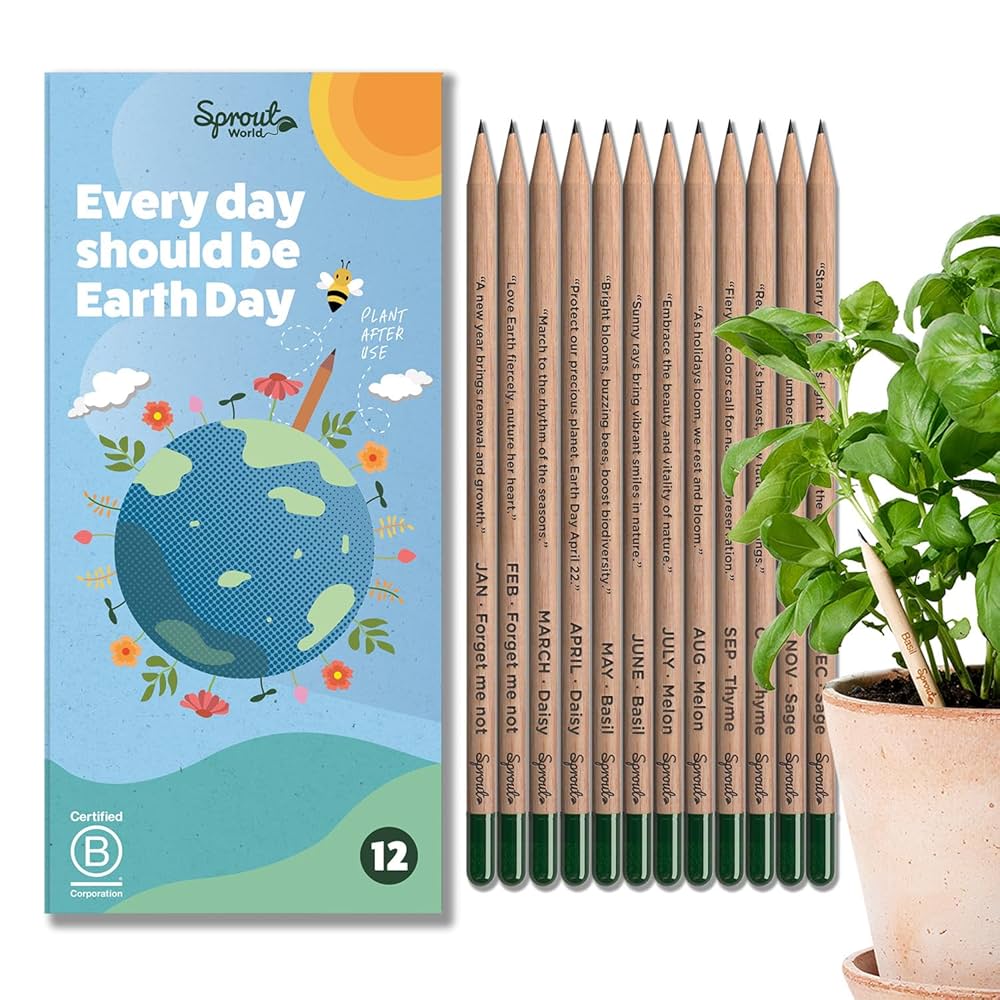 Back to School Season: The Eco Supplies You Need! 🍎 cover photo collage