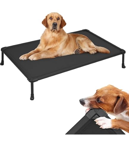 Our favorite dog supplies! Dog mom approved! cover photo collage