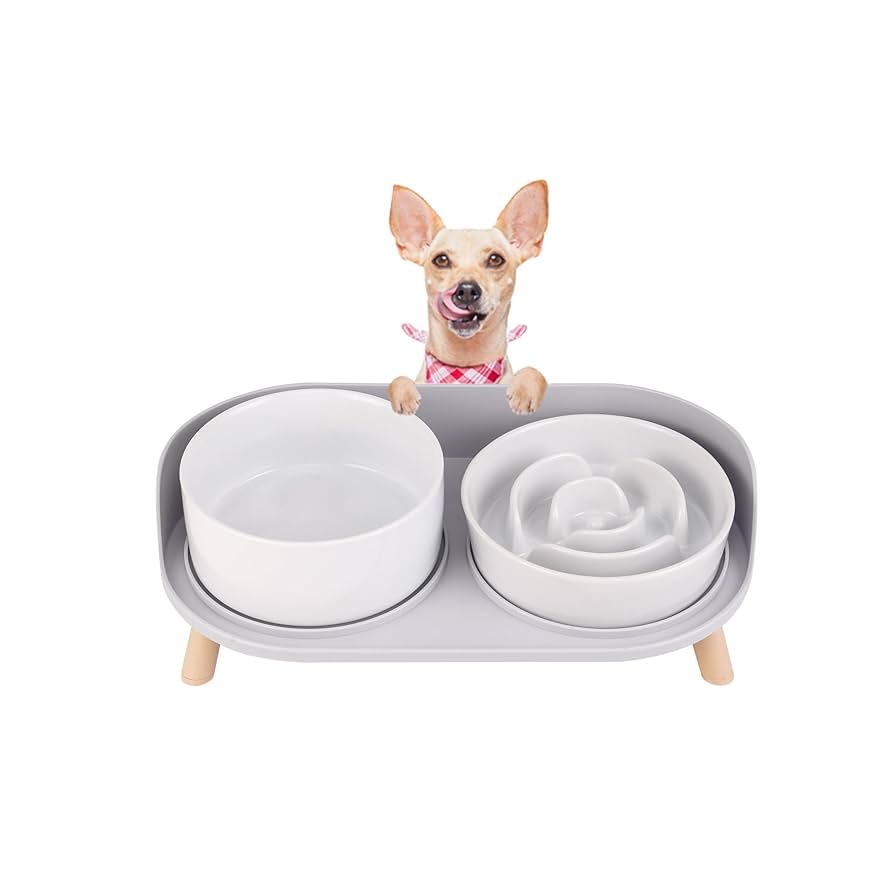 Puppy Survival Kit cover photo collage
