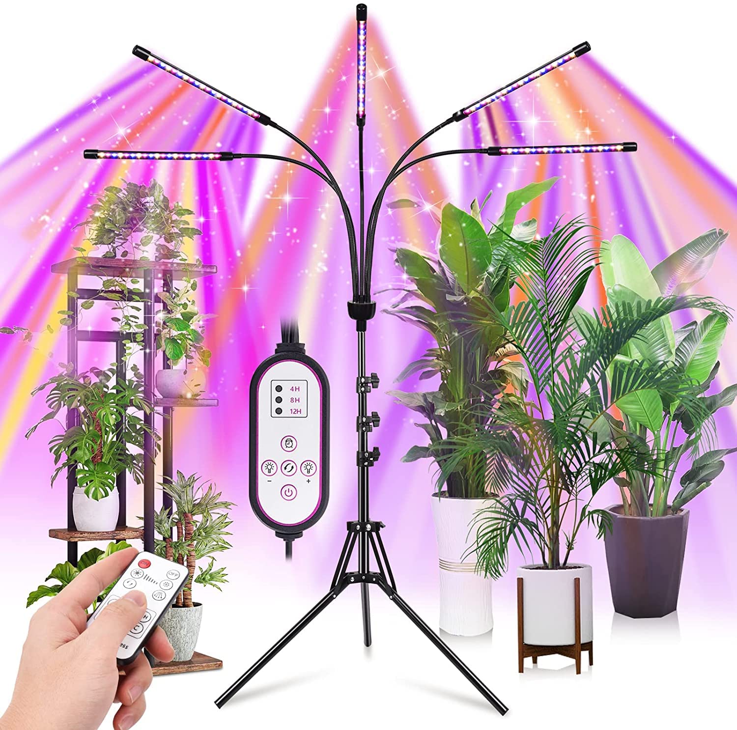 Plant Parent Starter Pack cover photo collage