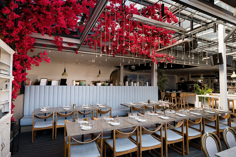 My top Toronto recs cover photo collage