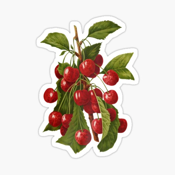 Stickers of Antique Fruit cover photo collage