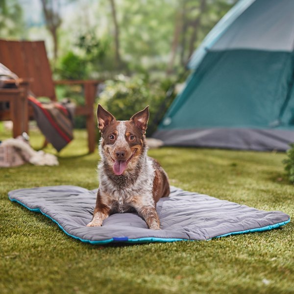 Happy Pup Toolkit: High-Value Treats, Sniff-Games, Snuffle Mats & Cozy Beds cover photo collage